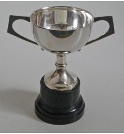 Sports Cup without Lid 9"