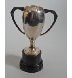 Sports Cup without Lid 10"