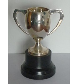 Sports Cup without Lid 5 1/2"