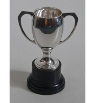 Sports Cup without Lid 8 1/2"