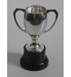 Sports Cup without Lid 8 1/2"