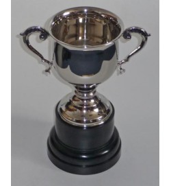Sports Cup Nickel 13"