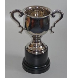 Sports Cup Nickel 20 1/2"
