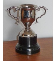 Sports Cup Nickel 5"