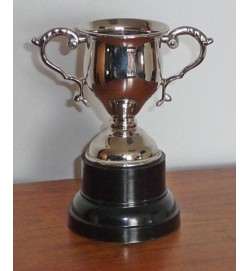 Sports Cup Nickel 5"