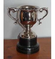 Sports Cup Nickel 8"