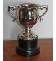 Sports Cup Nickel 9 3/4"