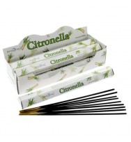 Citronella Stamford Inc Hex 24Tubes in 4 boxes