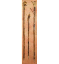 Root Flame scorched Walking Stick