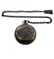 Pocket Compass w/Chain