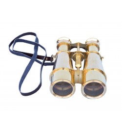 Binoculars with leather carry cover