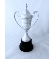 Sports Cup with Lid 13"